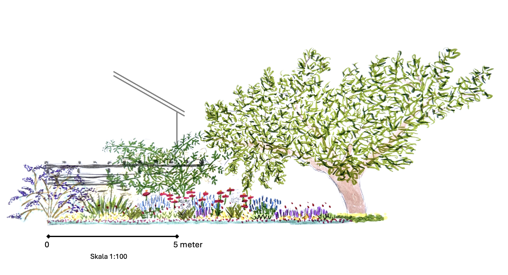 Handritad vy över rabatt