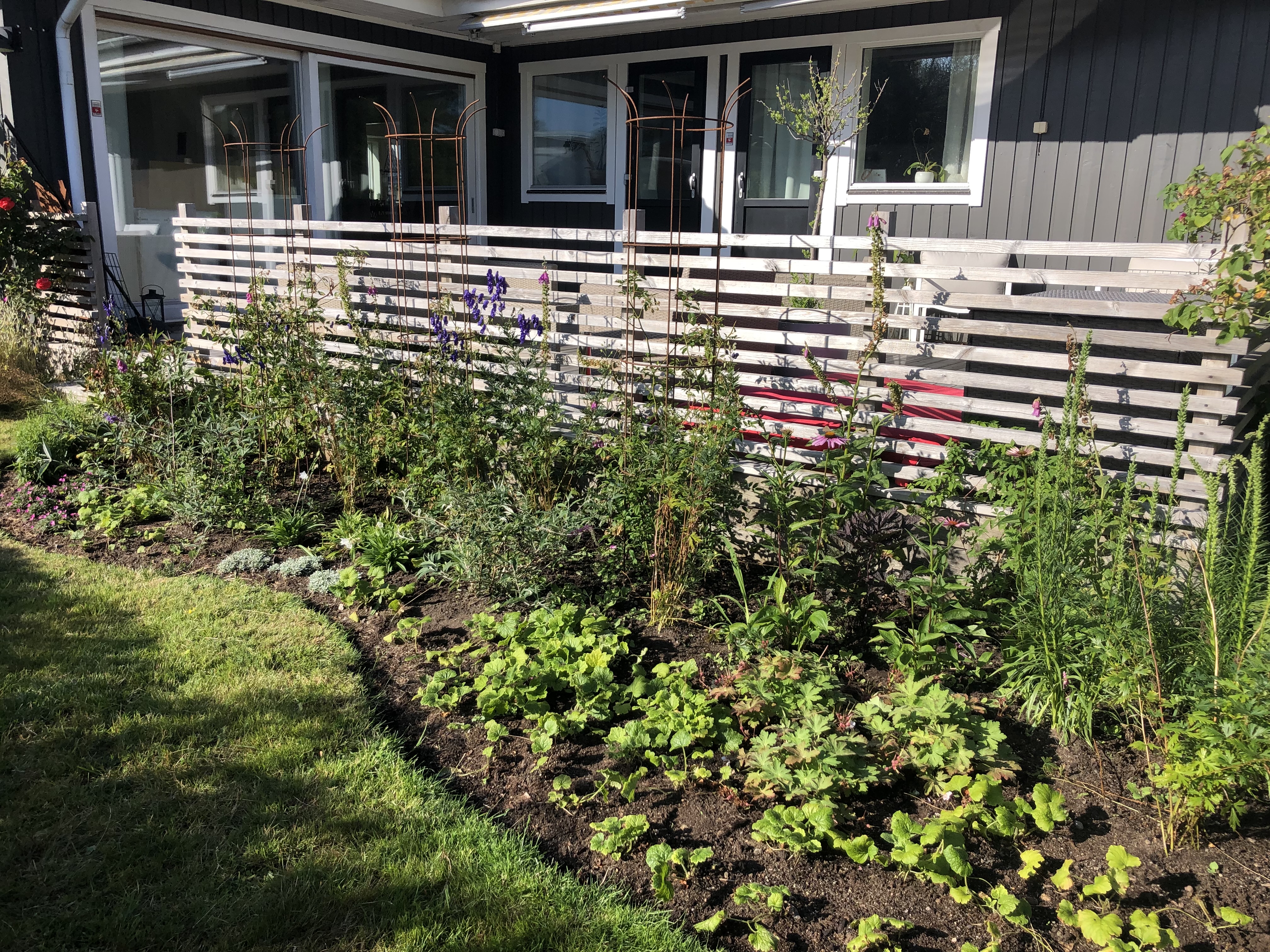 Rabatt med mjuka former