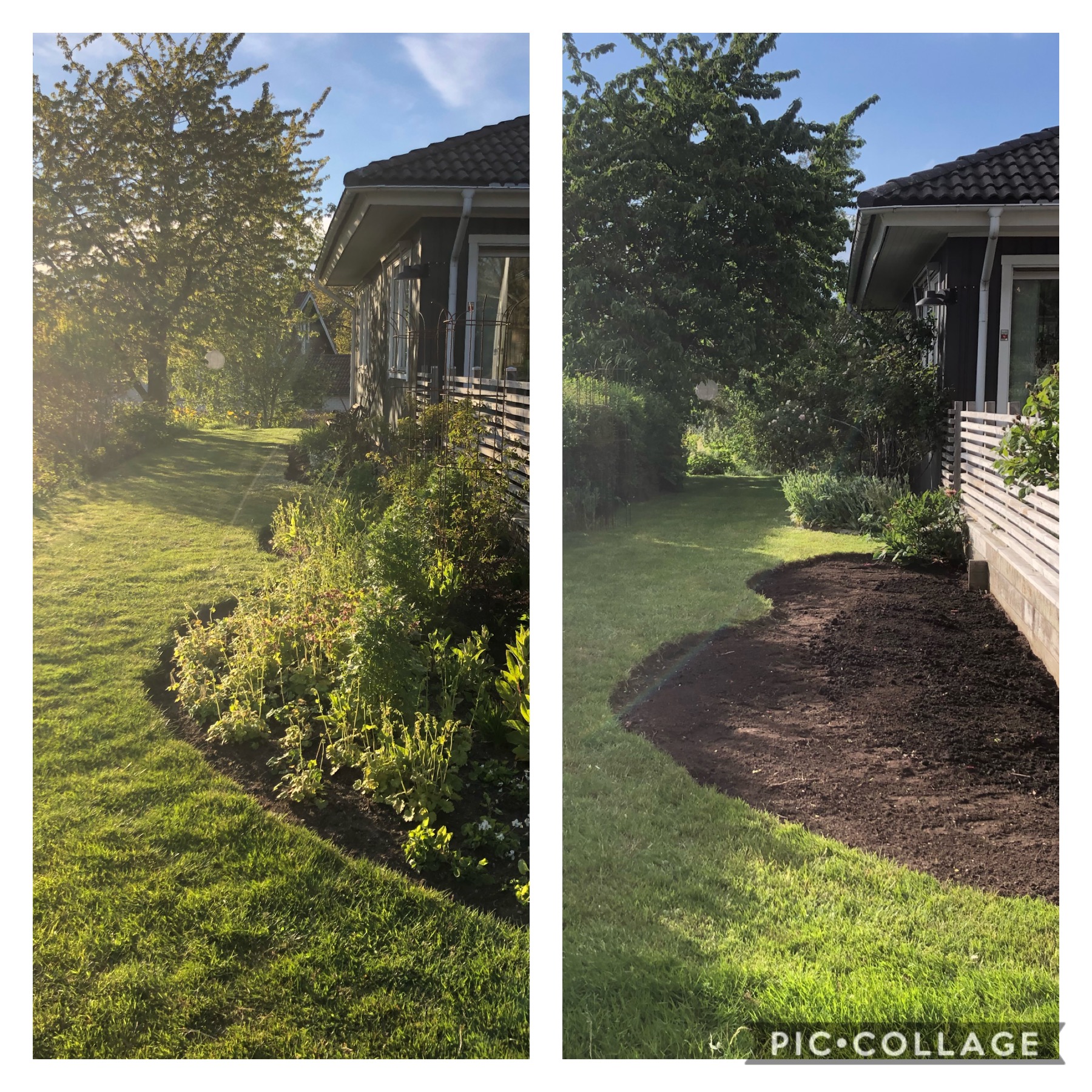 Rabatt istället för gräsmatta